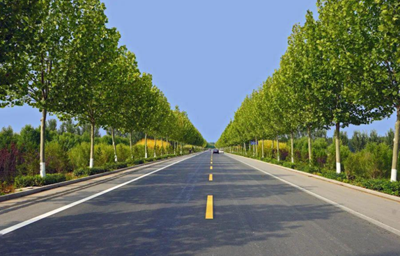 鞏義市魯莊鎮(zhèn)斜里村至南村寨至桑家溝村路網(wǎng)改善項目